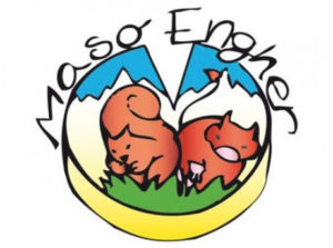logo maso engher