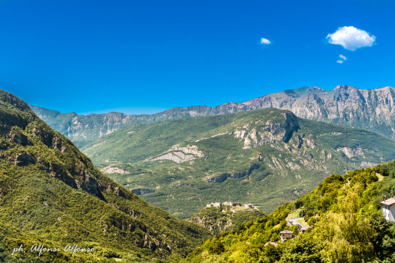 chi siamo FOLGARIA CAMP 2017 3